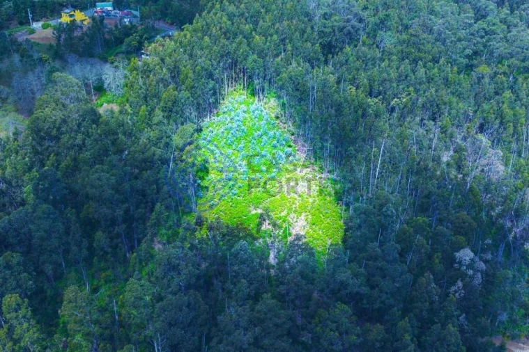 Terreno para Venda em Santa Cruz Foto 12