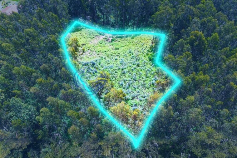 Terreno para Venda em Santa Cruz Foto 5