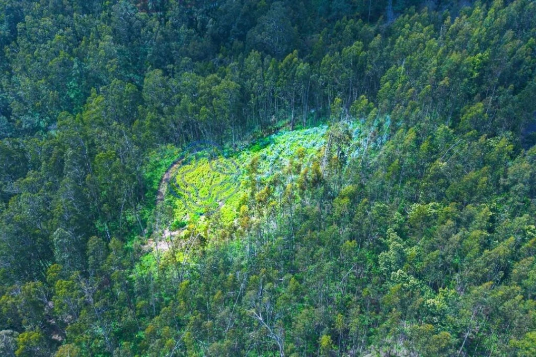 Terreno para Venda em Santa Cruz Foto 15