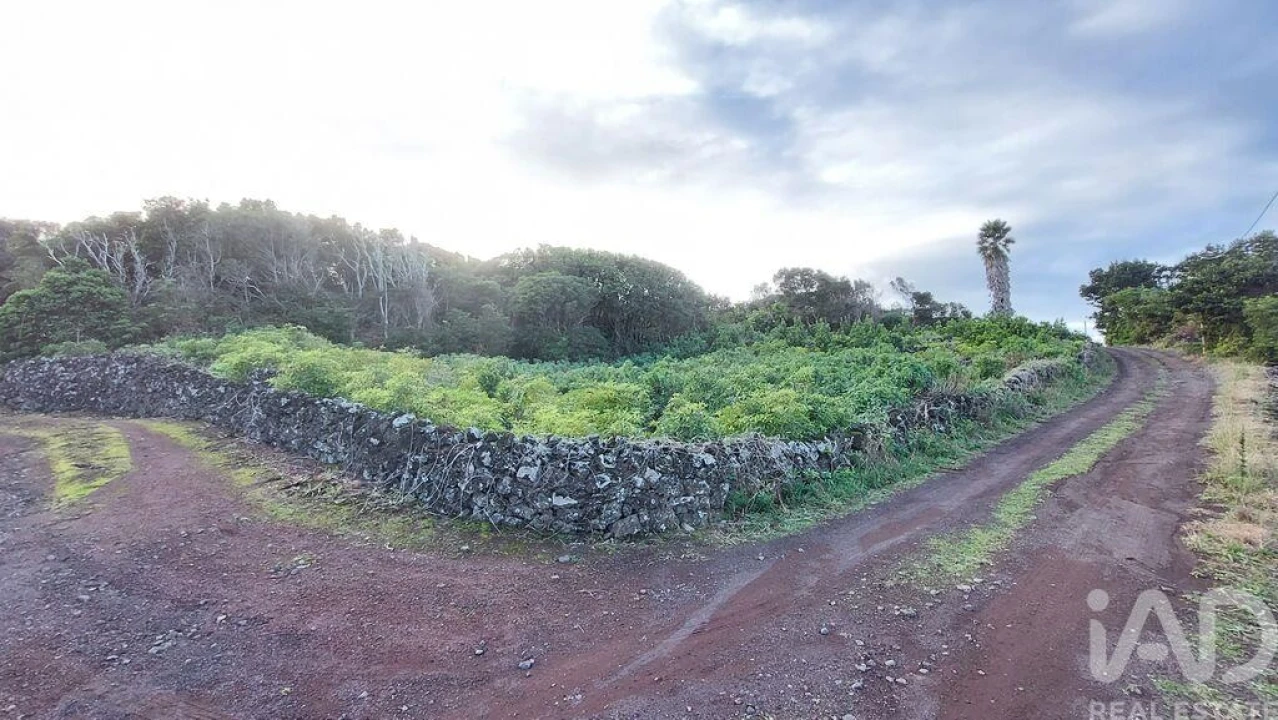 Terreno para Venda em Piedade Foto 10