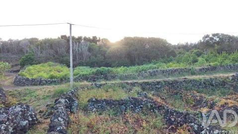 Terreno para Venda em Piedade