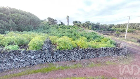 Terreno para Venda em Piedade