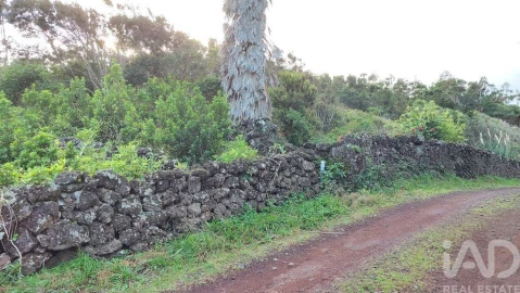 Terreno para Venda em Piedade