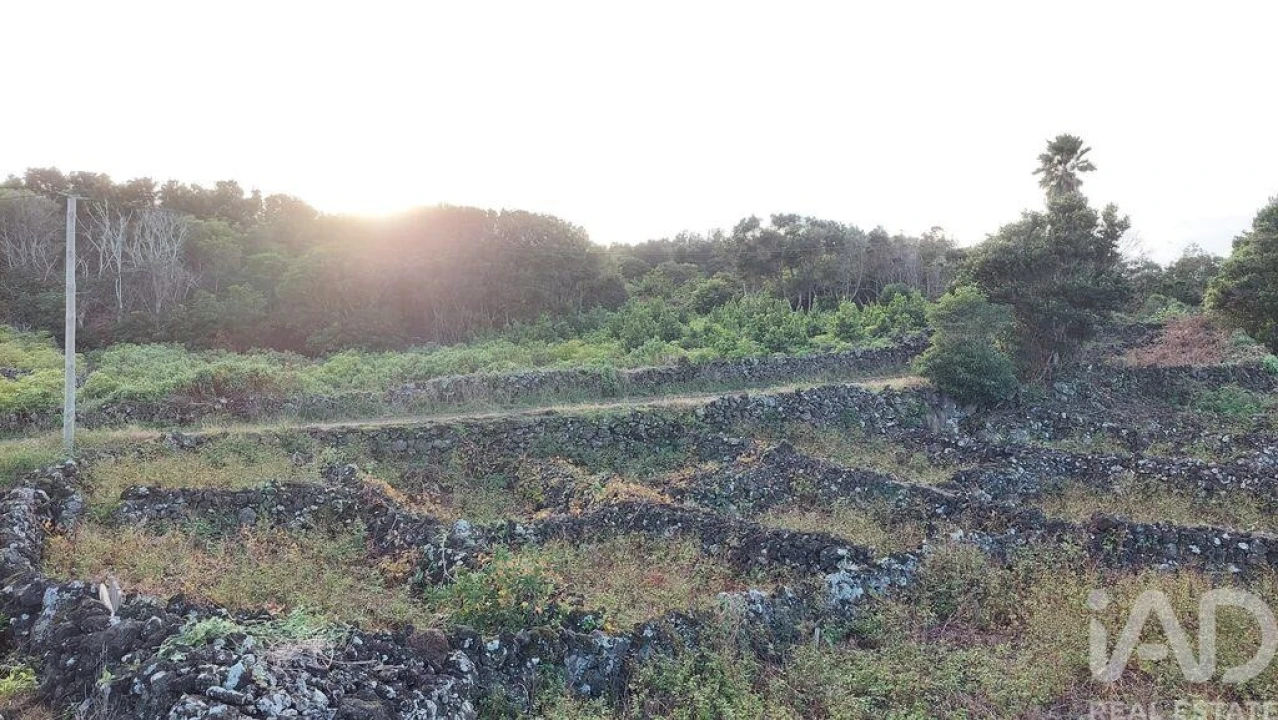 Terreno para Venda em Piedade Foto 4