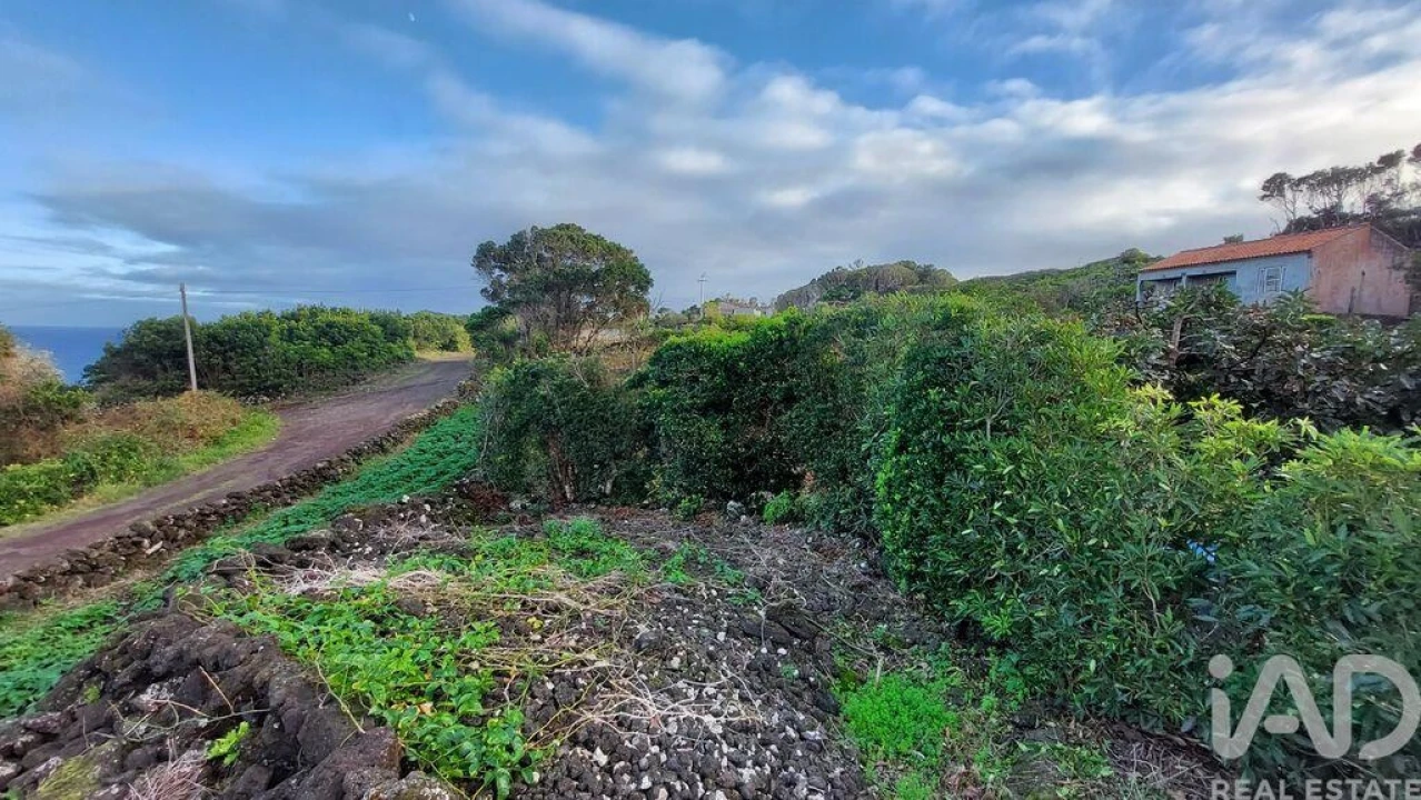 Terreno para Venda em Piedade Foto 15