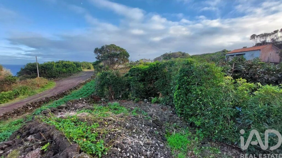 Terreno para Venda em Piedade Foto 15