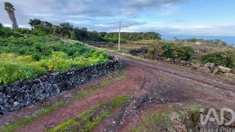 Terreno para Venda em Piedade Foto 8