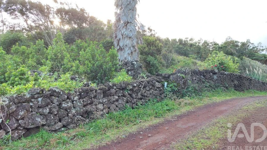Terreno para Venda em Piedade Foto 13