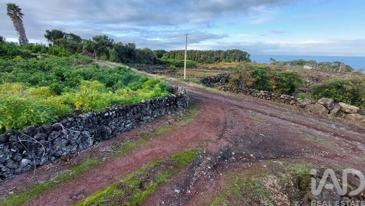 Terreno para Venda em Piedade Foto 8