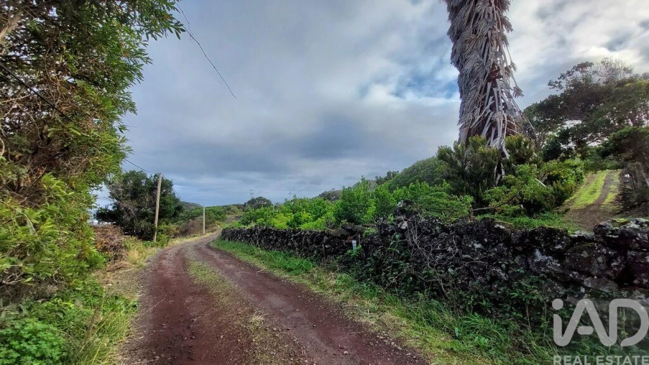 Terreno para Venda em Piedade Foto 1