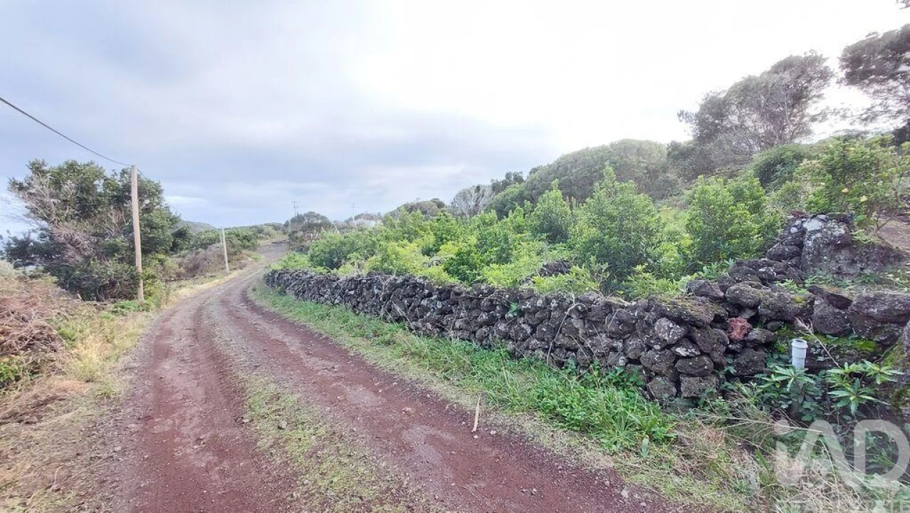 Terreno para Venda em Piedade Foto 5