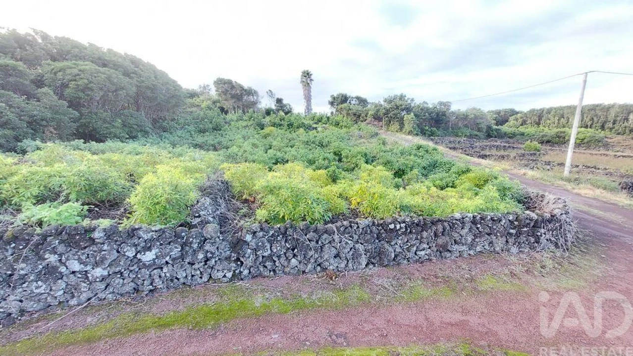 Terreno para Venda em Piedade Foto 9