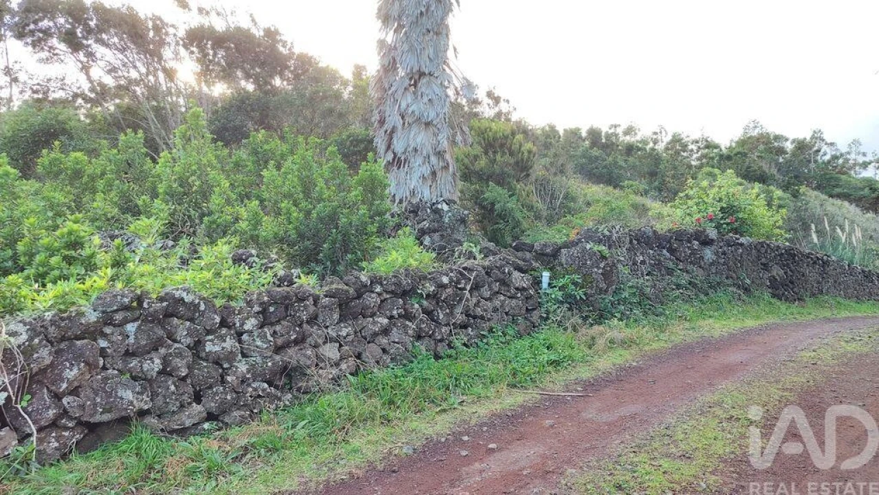 Terreno para Venda em Piedade Foto 13