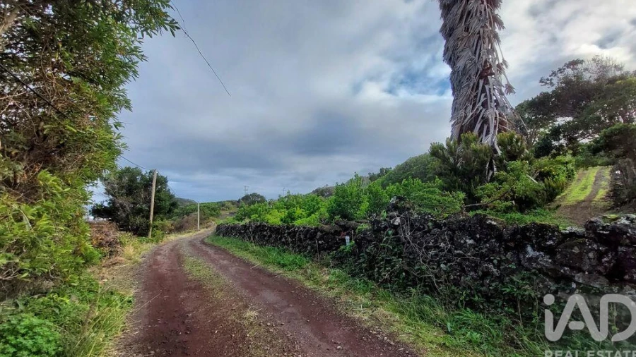 Terreno para Venda em Piedade