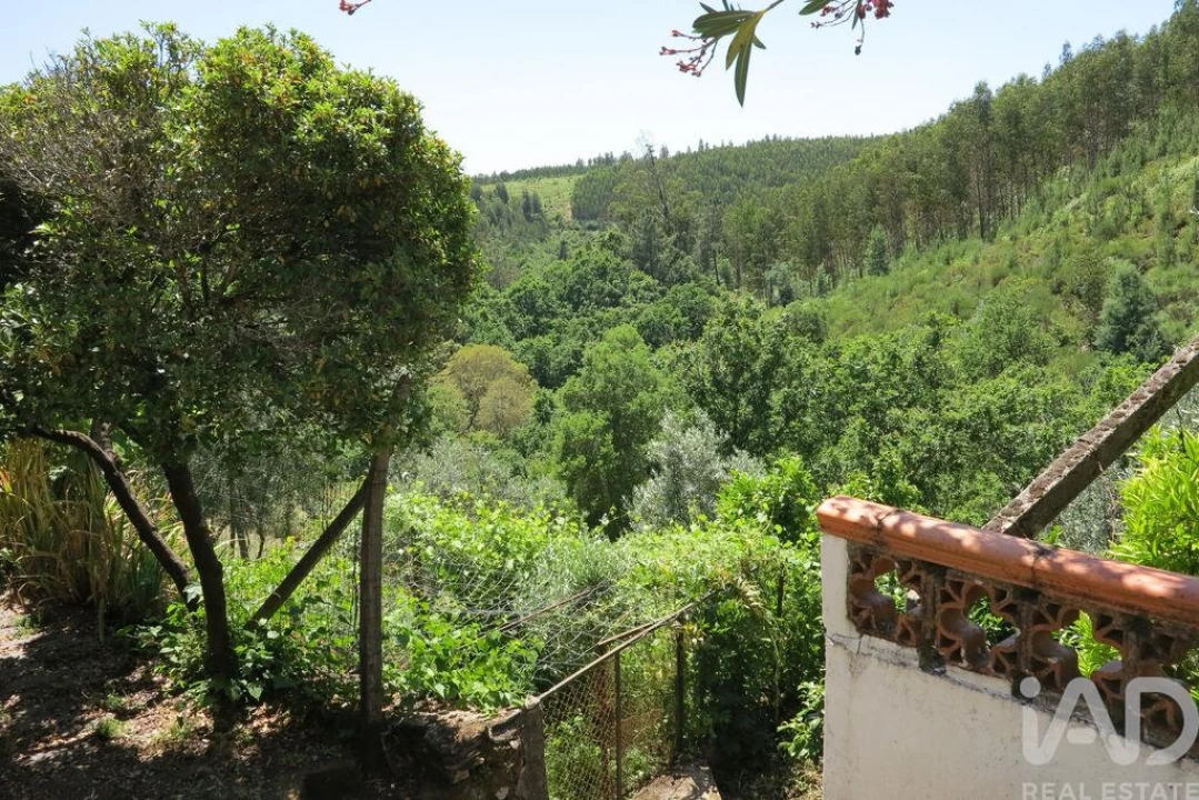 Quinta para Venda em Pedrogão Grande Foto 14