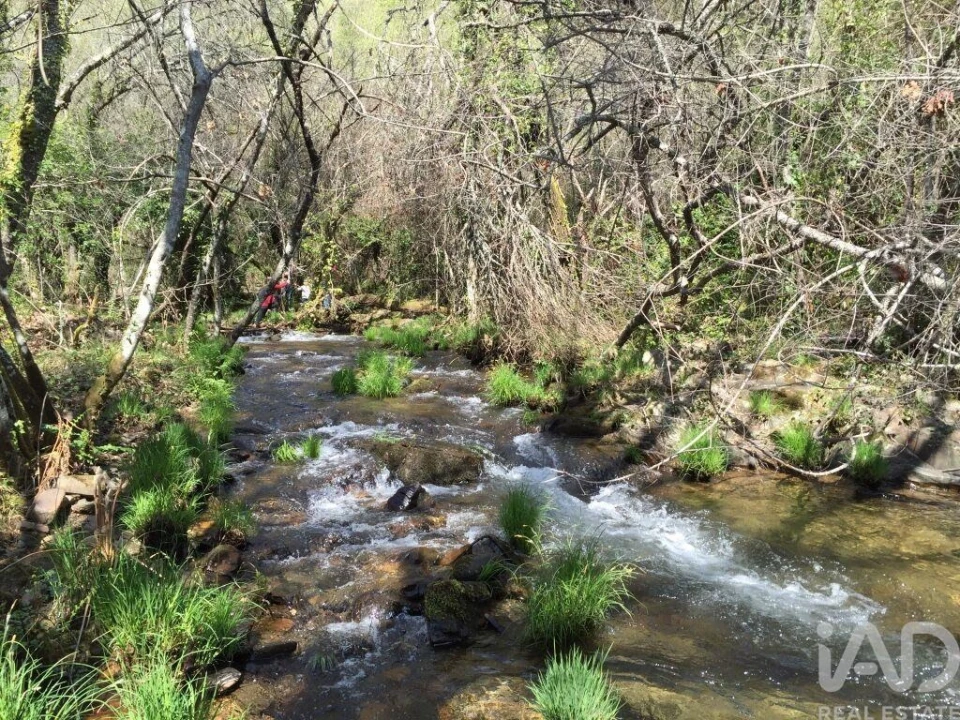 Quinta para Venda em Pedrogão Grande Foto 25