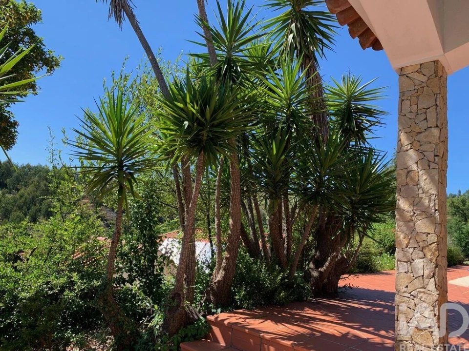 Quinta para Venda em Pedrogão Grande Foto 17