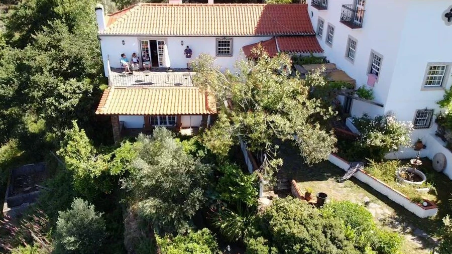 Quinta para Venda em Pedrogão Grande