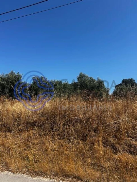 Terreno para Venda em Quinta do Anjo
