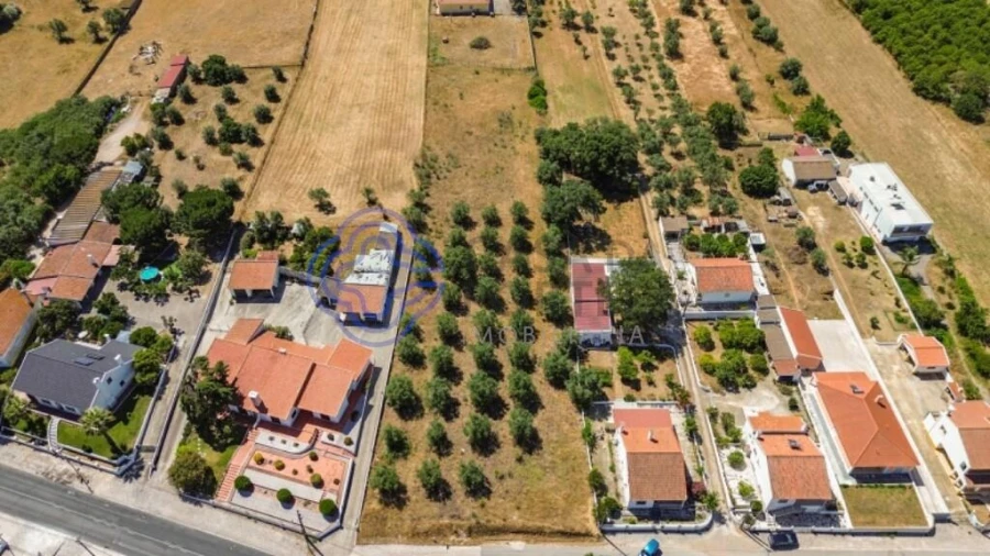 Terreno para Venda em Quinta do Anjo Foto 9