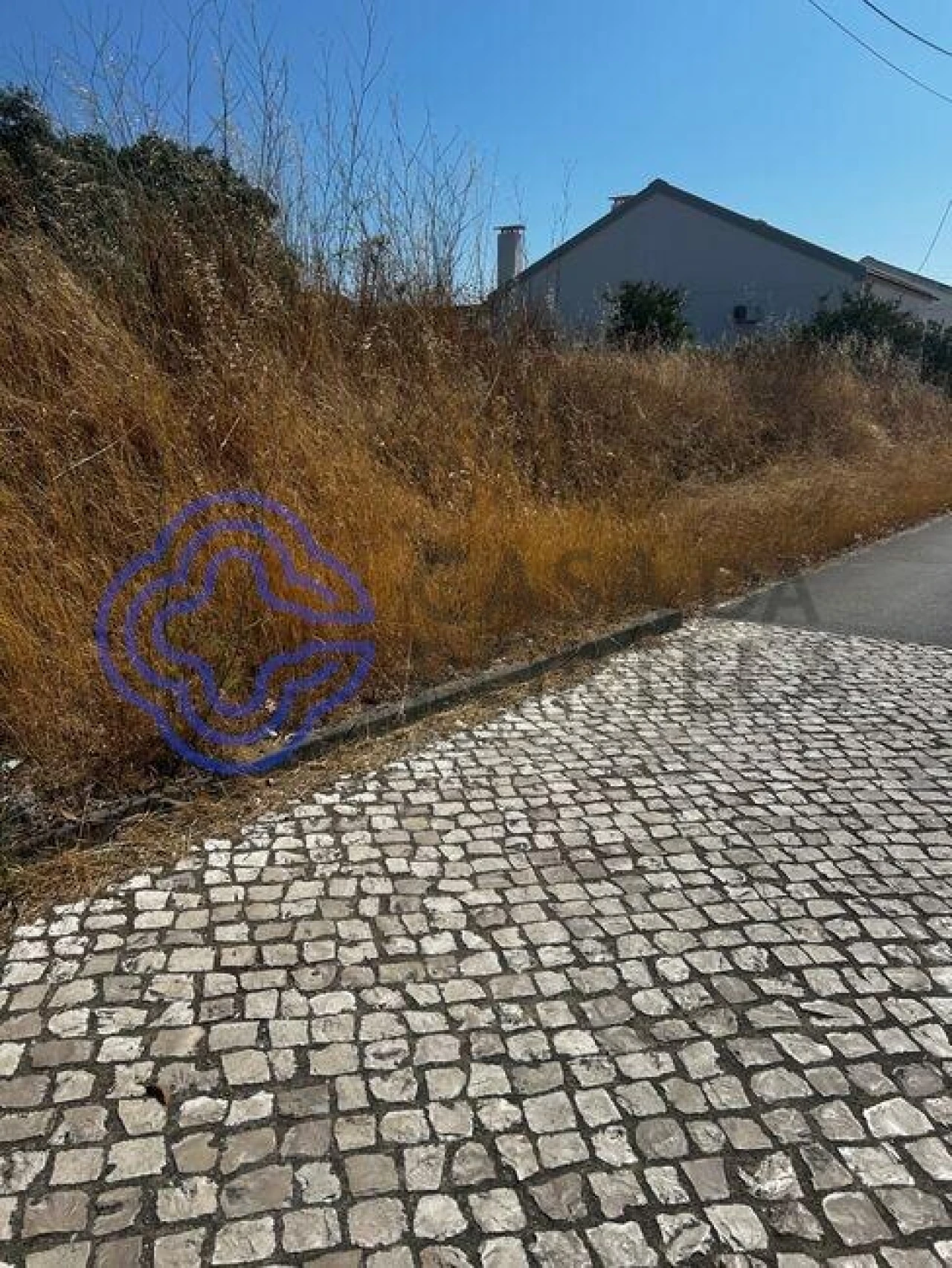 Terreno para Venda em Quinta do Anjo Foto 2