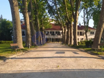 Apartamento T2 para Venda em Serra e Junceira