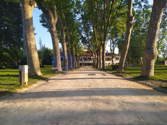 Apartamento T2 para Venda em Serra e Junceira Foto 18