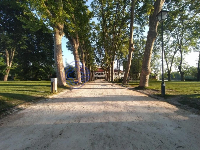 Apartamento T2 para Venda em Serra e Junceira Foto 19