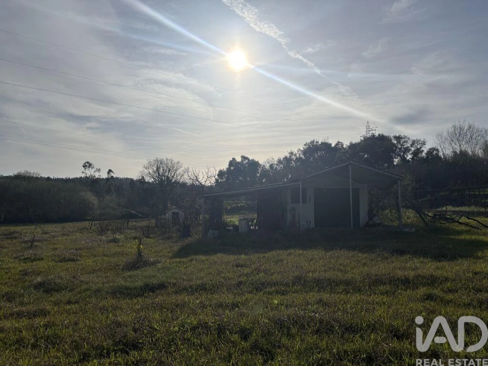 Terreno para Venda em São Martinho de Árvore e Lamarosa Foto 7