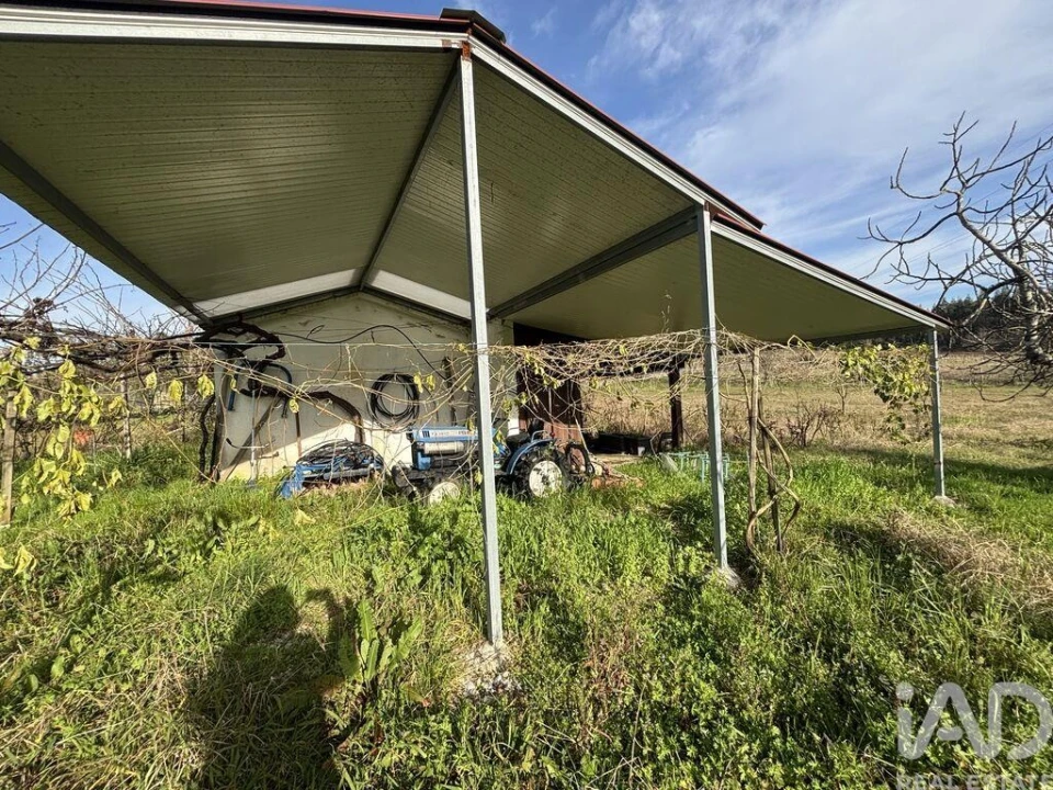 Terreno para Venda em São Martinho de Árvore e Lamarosa Foto 8