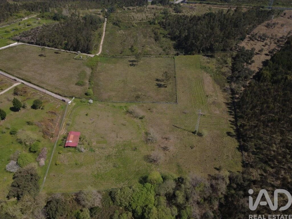 Terreno para Venda em São Martinho de Árvore e Lamarosa Foto 17