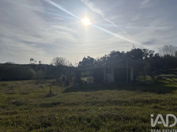 Terreno para Venda em São Martinho de Árvore e Lamarosa