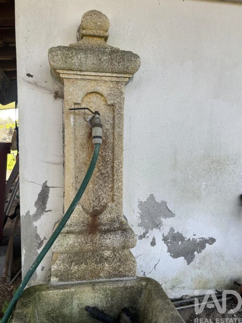 Terreno para Venda em São Martinho de Árvore e Lamarosa
