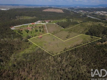 Terreno para Venda em São Martinho de Árvore e Lamarosa