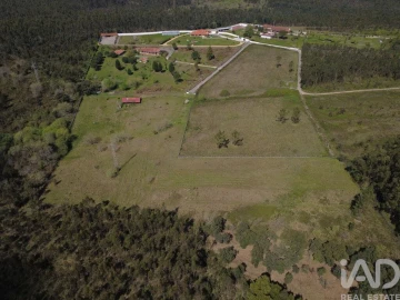 Terreno para Venda em São Martinho de Árvore e Lamarosa
