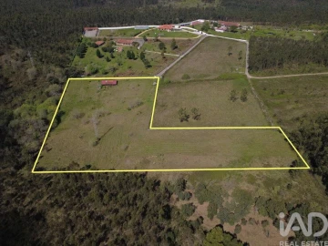 Terreno para Venda em São Martinho de Árvore e Lamarosa