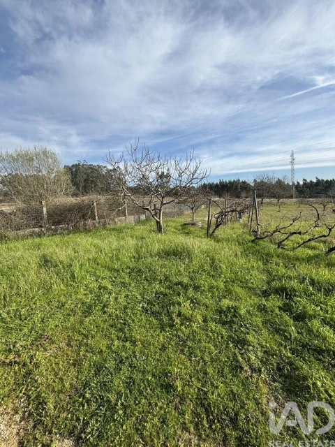 Terreno para Venda em São Martinho de Árvore e Lamarosa