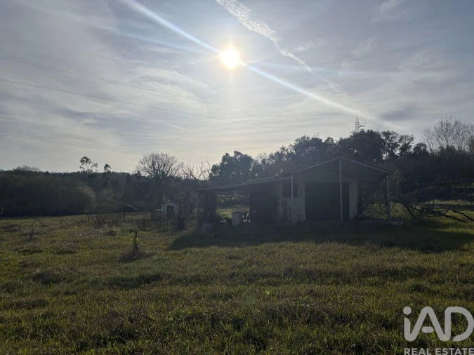 Terreno para Venda em São Martinho de Árvore e Lamarosa Foto 7