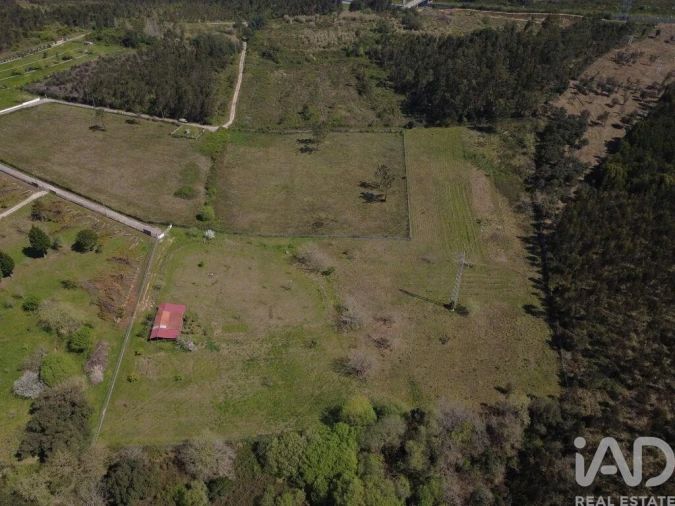 Terreno para Venda em São Martinho de Árvore e Lamarosa Foto 17