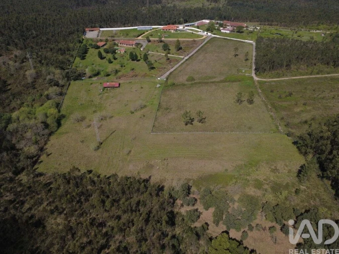 Terreno para Venda em São Martinho de Árvore e Lamarosa Foto 15