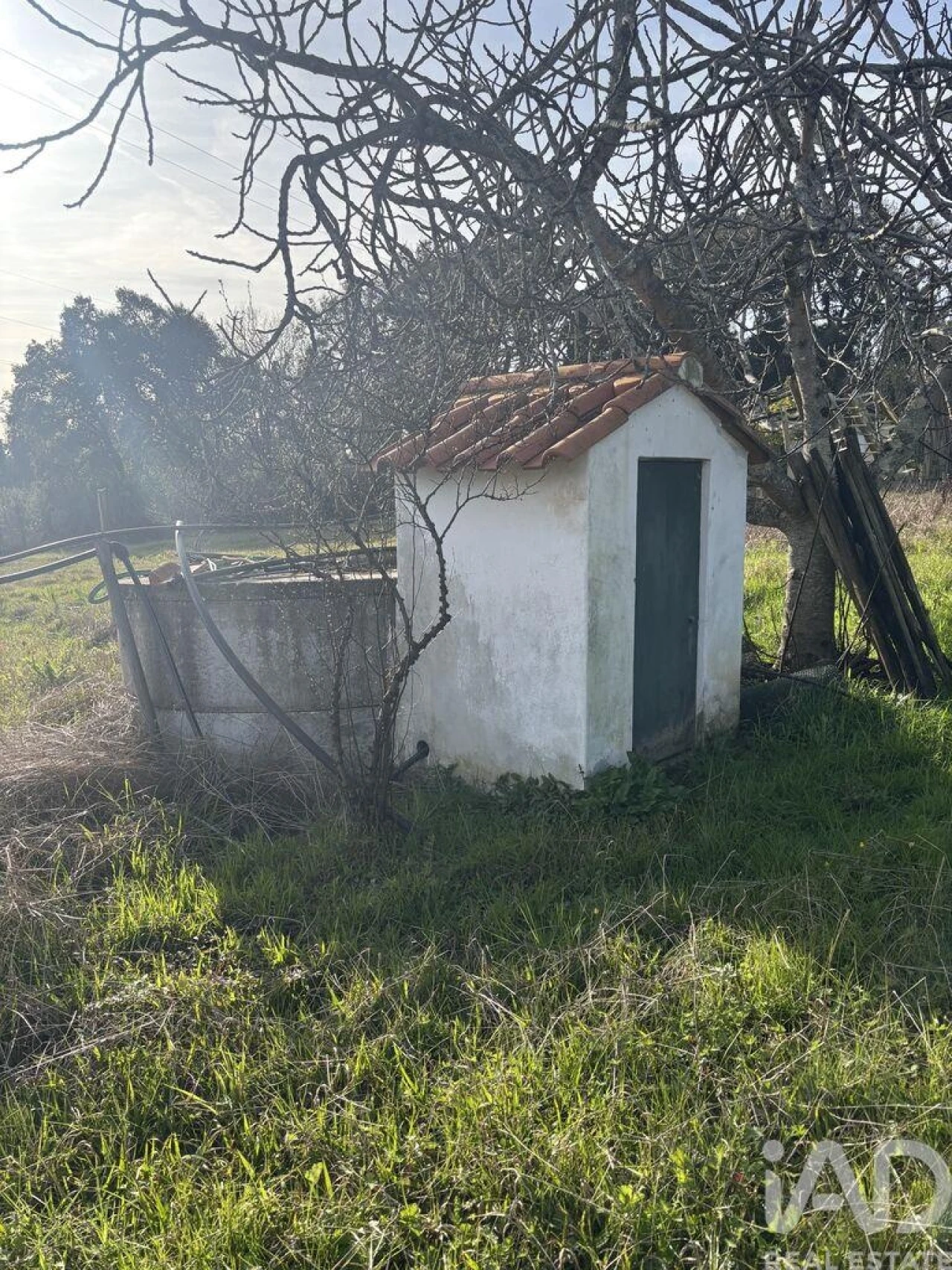 Terreno para Venda em São Martinho de Árvore e Lamarosa Foto 9