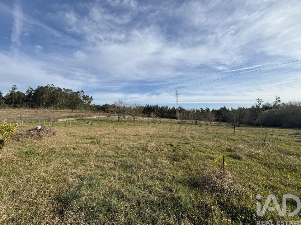 Terreno para Venda em São Martinho de Árvore e Lamarosa Foto 2
