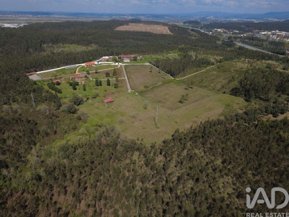 Terreno para Venda em São Martinho de Árvore e Lamarosa Foto 18