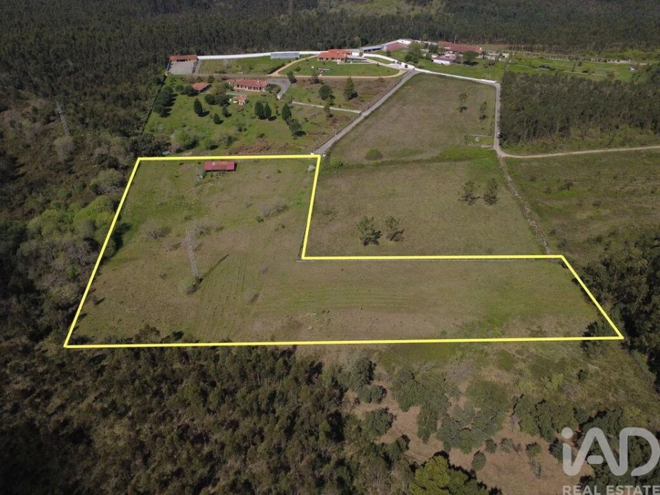 Terreno para Venda em São Martinho de Árvore e Lamarosa Foto 16