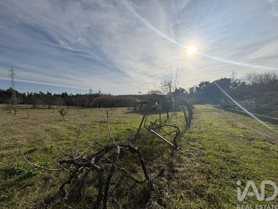 Terreno para Venda em São Martinho de Árvore e Lamarosa Foto 5
