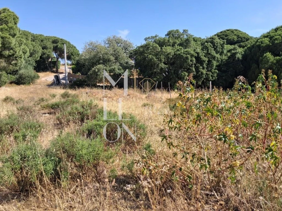Terreno para Venda em Lagoa e Carvoeiro Foto 30