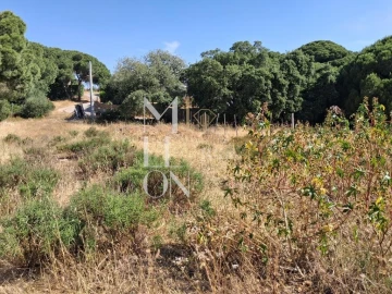 Terreno para Venda em Lagoa e Carvoeiro