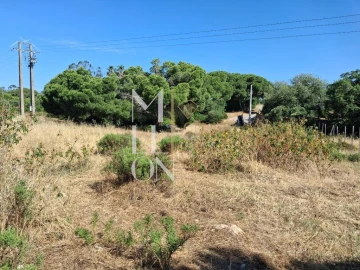 Terreno para Venda em Lagoa e Carvoeiro