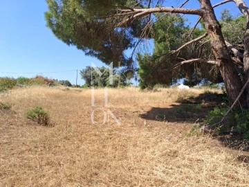 Terreno para Venda em Lagoa e Carvoeiro