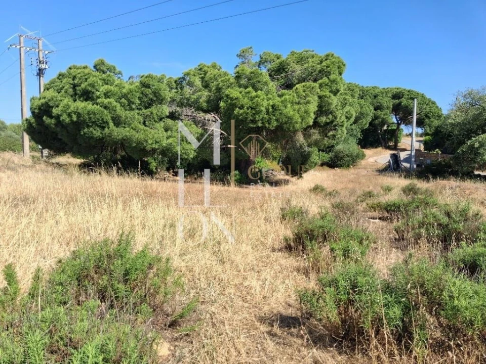 Terreno para Venda em Lagoa e Carvoeiro Foto 29
